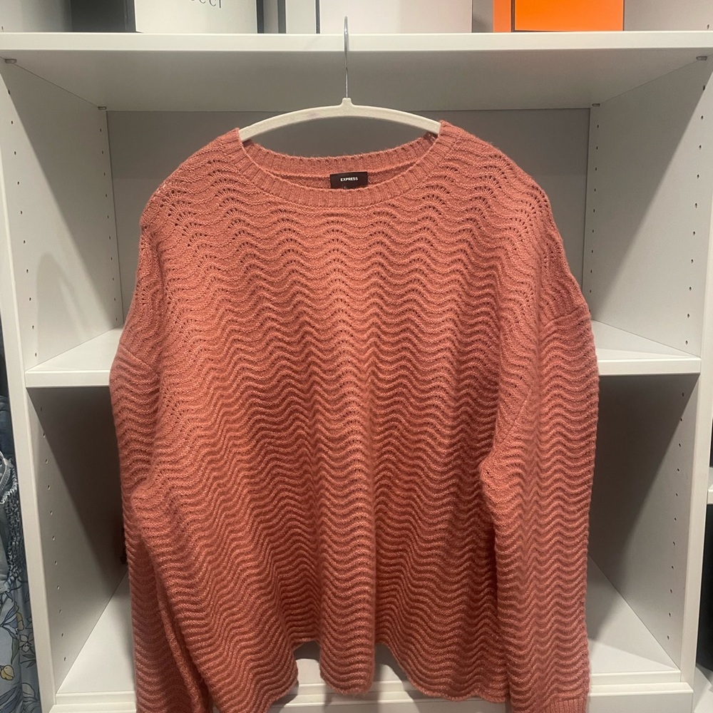 Express Coral Wave Knit Sweater